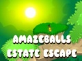 Игра Amazeballs Estate Escape