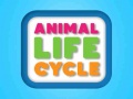 Игра Animal Life Cycle
