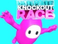 Игра Ultimate Knockout Race