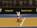 Игра Bunny volleyball