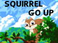 Ігра Squirrel Go Up