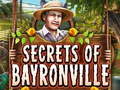 Игра Secrets of Bayronville