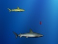 Ігра Lost shark