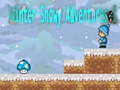 Игра Winter Snowy Adventures 1