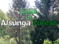Игра Return To Alsunga Forest