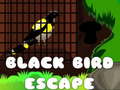 Игра Black Bird Escape