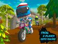 Игра Trial 2 Player Moto Racing