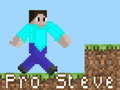 Ігра Pro Steve