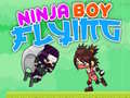 Игра Ninja Boy Flying