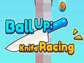 Игра Ball Up: Knife Racing 