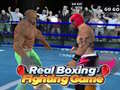 Игра Real Boxing Fighting Game