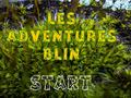 Игра Les Adventures Blin