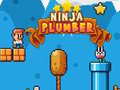 Игра Ninja Plumber