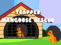 Ігра Trapped Mangoose Rescue