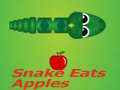 Игра Snake Eats Apple