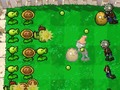 Игра Plants Vs Zombies DS