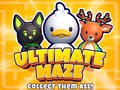 Игра Ultimate Maze! Collect Them All!