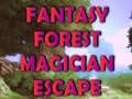 Игра Fantasy Forest Magician Escape