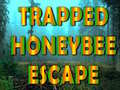 Игра Trapped Honeybee Escape