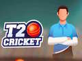 Игра T20 Cricket