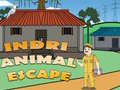 Ігра Indri Animal Escape