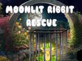 Игра Moonlit Ribbit Rescue