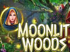 Игра Moonlit Woods