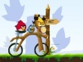 Игра Angry Birds Bike Revenge