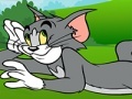 Игра Tom and Jerry ATV Adventure