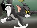 Игра Tom And Jerry Chase In Marsh