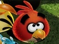 Игра Angry Birds Save