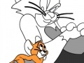 Игра Tom and Jerry colouring