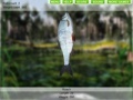 Ігра Lake Fishing 3.0