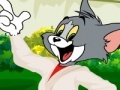 Игра Tom and Jerry dress up