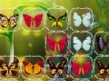 Игра Butterfly Connect