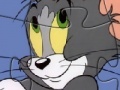 Игра Tom and Jerry