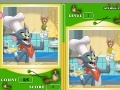 Игра  Spot The Difference Tom And Jerry
