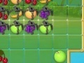Ігра Collect fruit