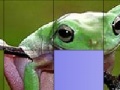 Ігра Frog Slide Puzzle