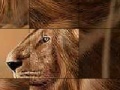 Игра Big brave lion slide puzzle