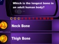 Игра Human Body Quizz Game