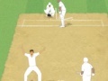 Игра Cricket Umpire Decision