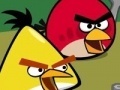 Игра Memory - Angry Birds