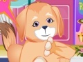 Игра Puppy Dental Care 