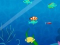 Игра Fish Fun