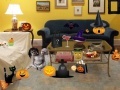 Игра Halloween Room