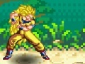 Игра Dragon Ball. Fierce Fighting