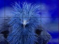 Игра Timid blue bird slide puzzle