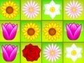 Игра Flower Power Match