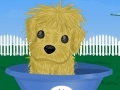 Игра Puppy Need Owner